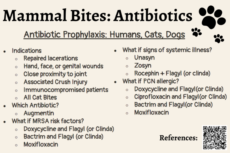 Conference Content: Antibiotic Treatment of Mammalian Bites by Dr ...